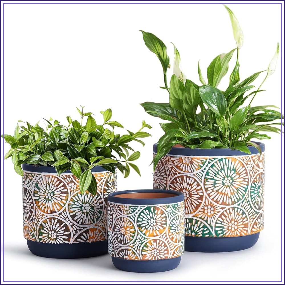 Snake Plant Ceramic - 3 Piece Ceramic Plant Pots Set
