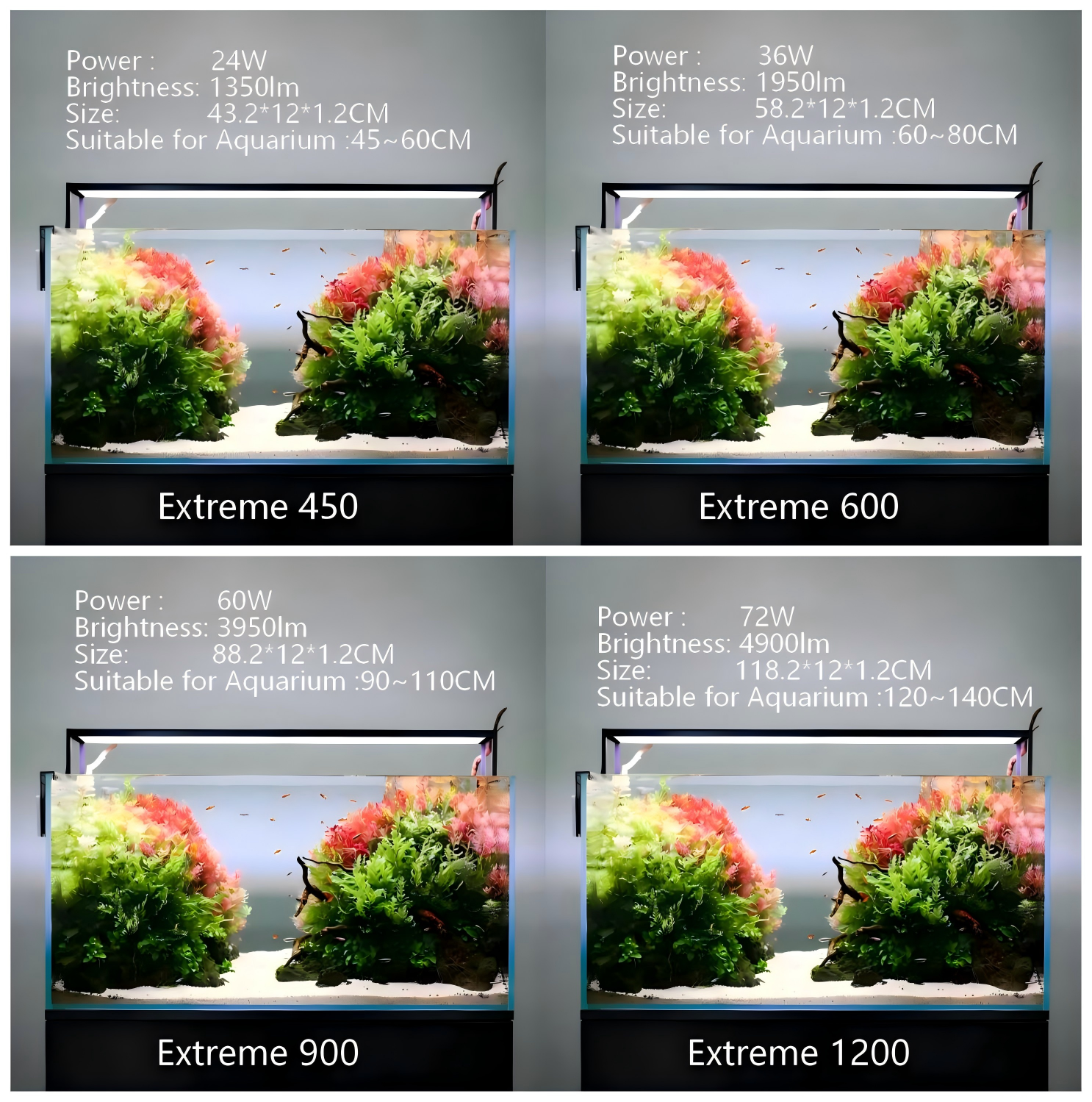 LED Aquarium light MICMOL Extr - مراجعة Plant Parent App وسعره
