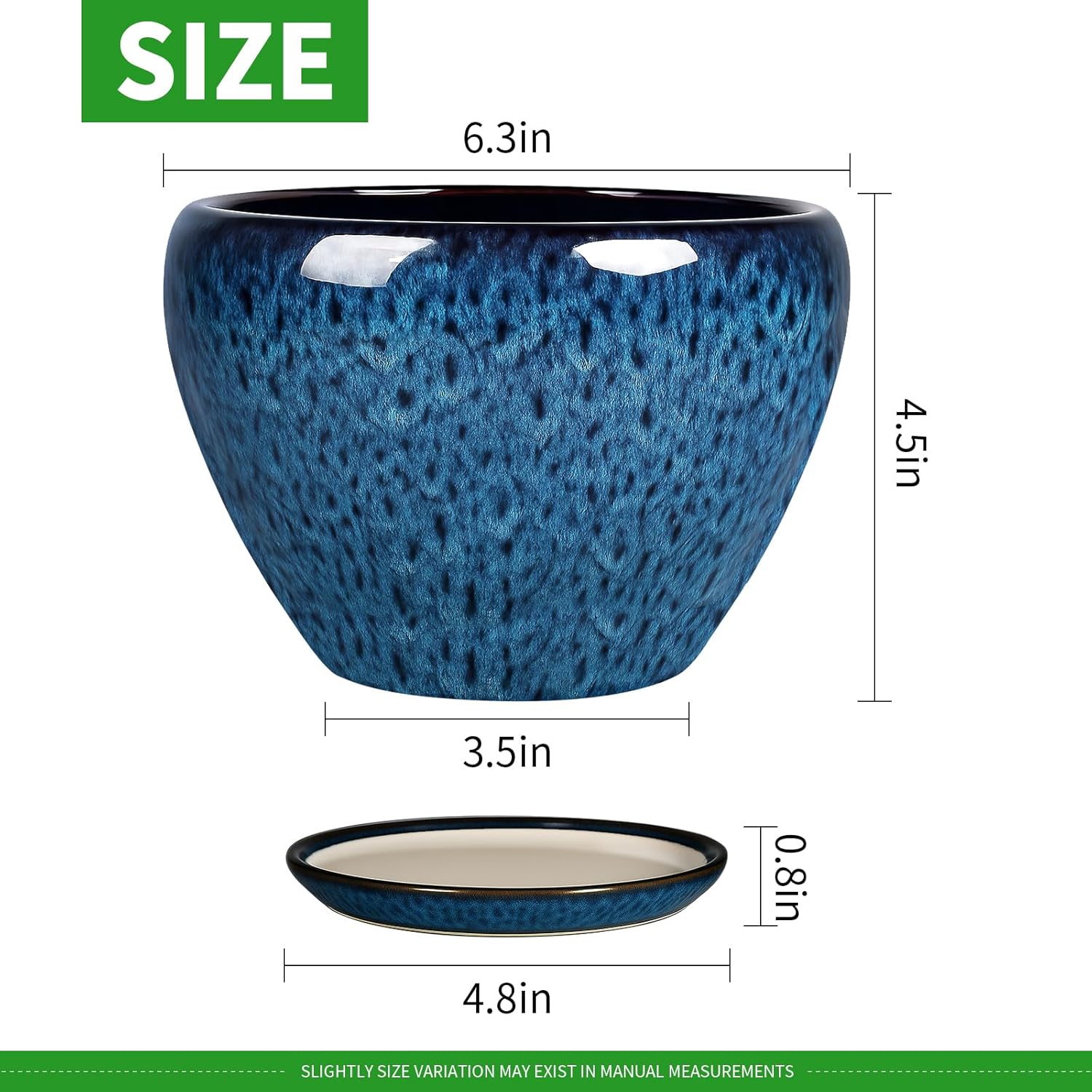 6 Inch Ceramic Plant Pots with - مراجعة Snake Plant Ceramic وسعره