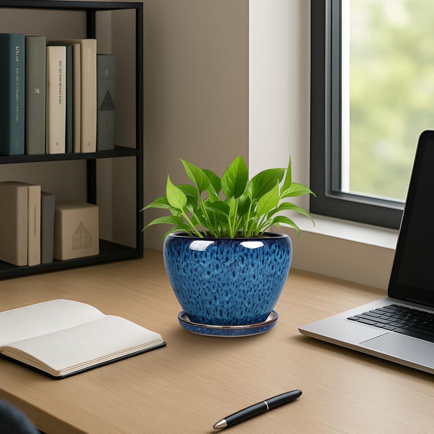 6 Inch Ceramic Plant Pots with - مراجعة Snake Plant Ceramic وسعره
