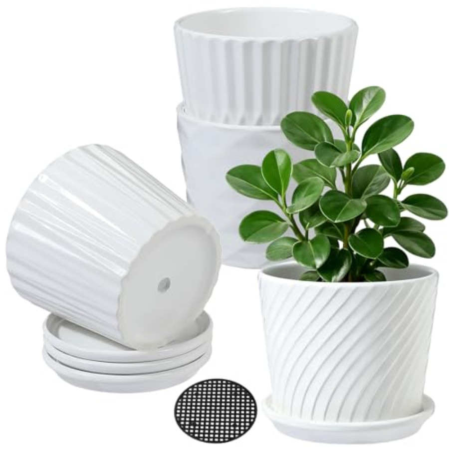 Plant Pots - Cylinder Ceramic  - مراجعة Snake Plant Ceramic وسعره