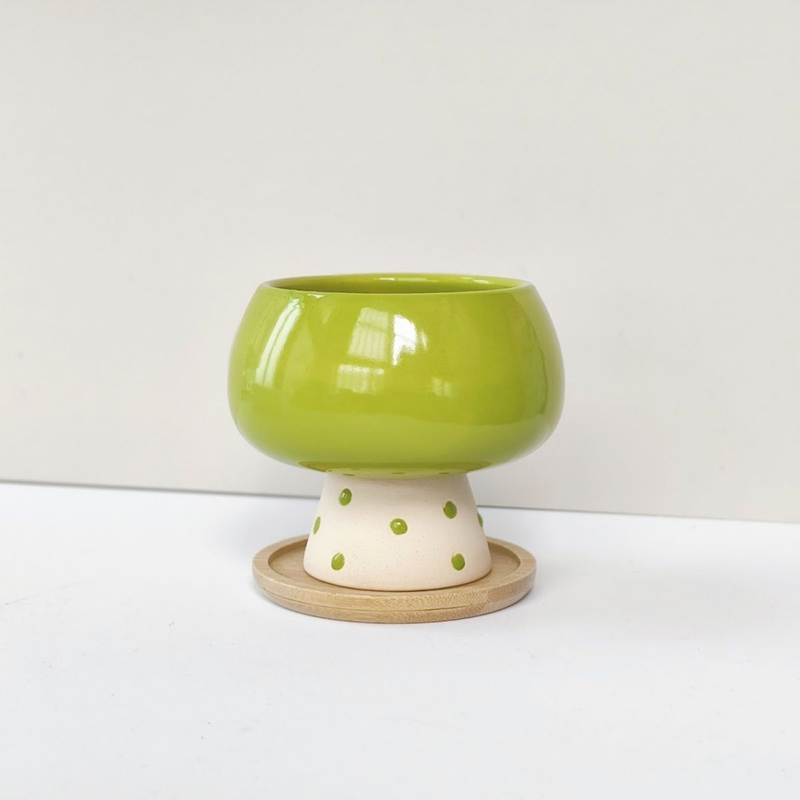 Stylish Minimalist Ceramic Flo - مراجعة Snake Plant Ceramic وسعره