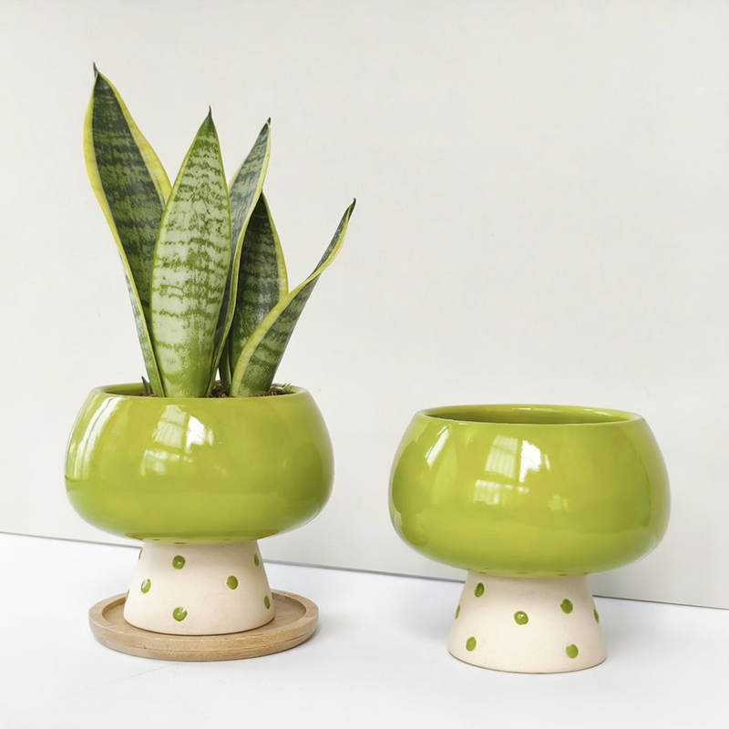 Stylish Minimalist Ceramic Flo - مراجعة Snake Plant Ceramic وسعره