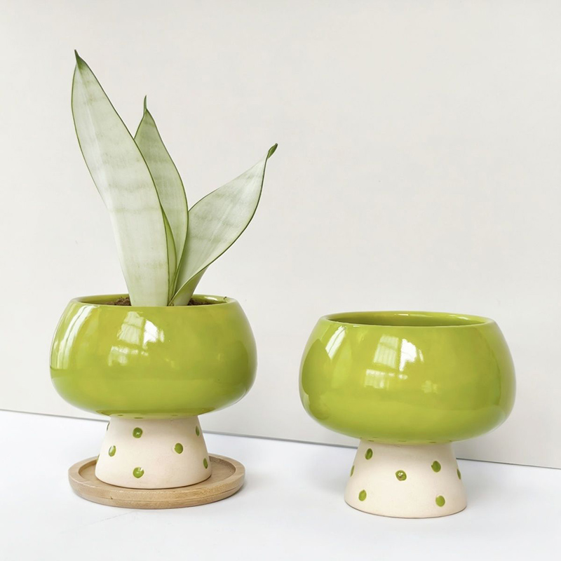 Stylish Minimalist Ceramic Flo - مراجعة Snake Plant Ceramic وسعره
