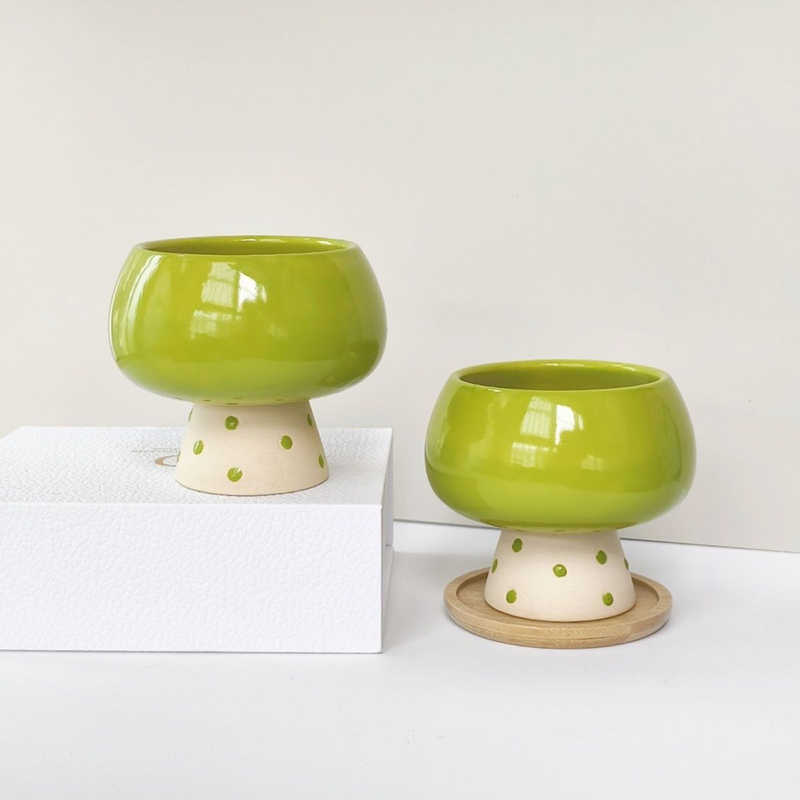 Stylish Minimalist Ceramic Flo - مراجعة Snake Plant Ceramic وسعره