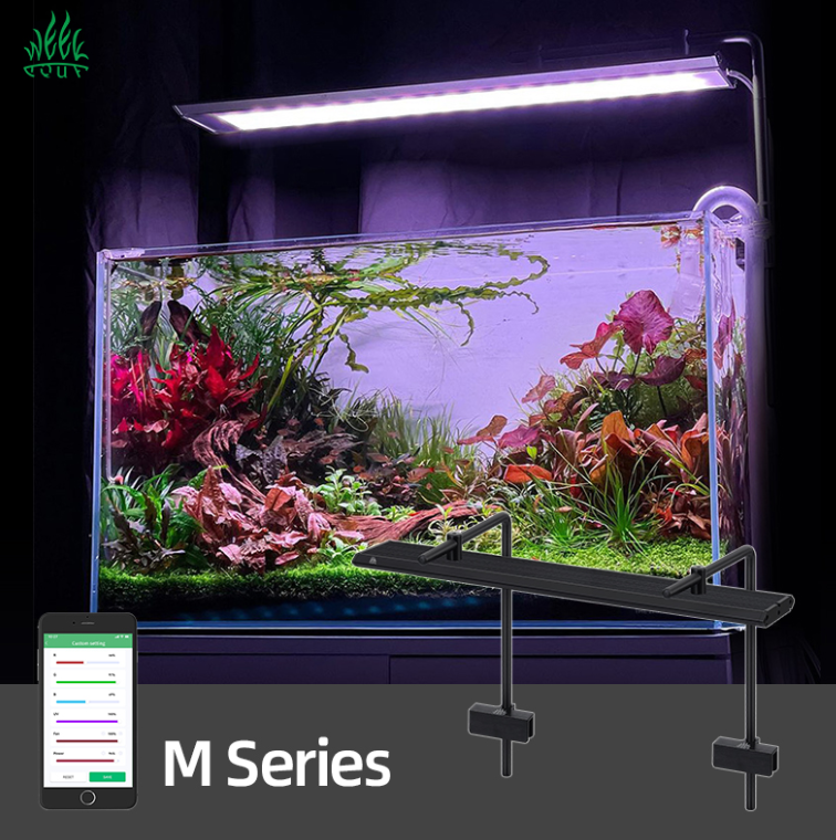 Week Aqua Aquarium Light M Ser - مراجعة Plant Parent App وسعره