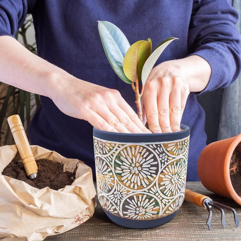3 Piece Ceramic Plant Pots Set - مراجعة Snake Plant Ceramic وسعره