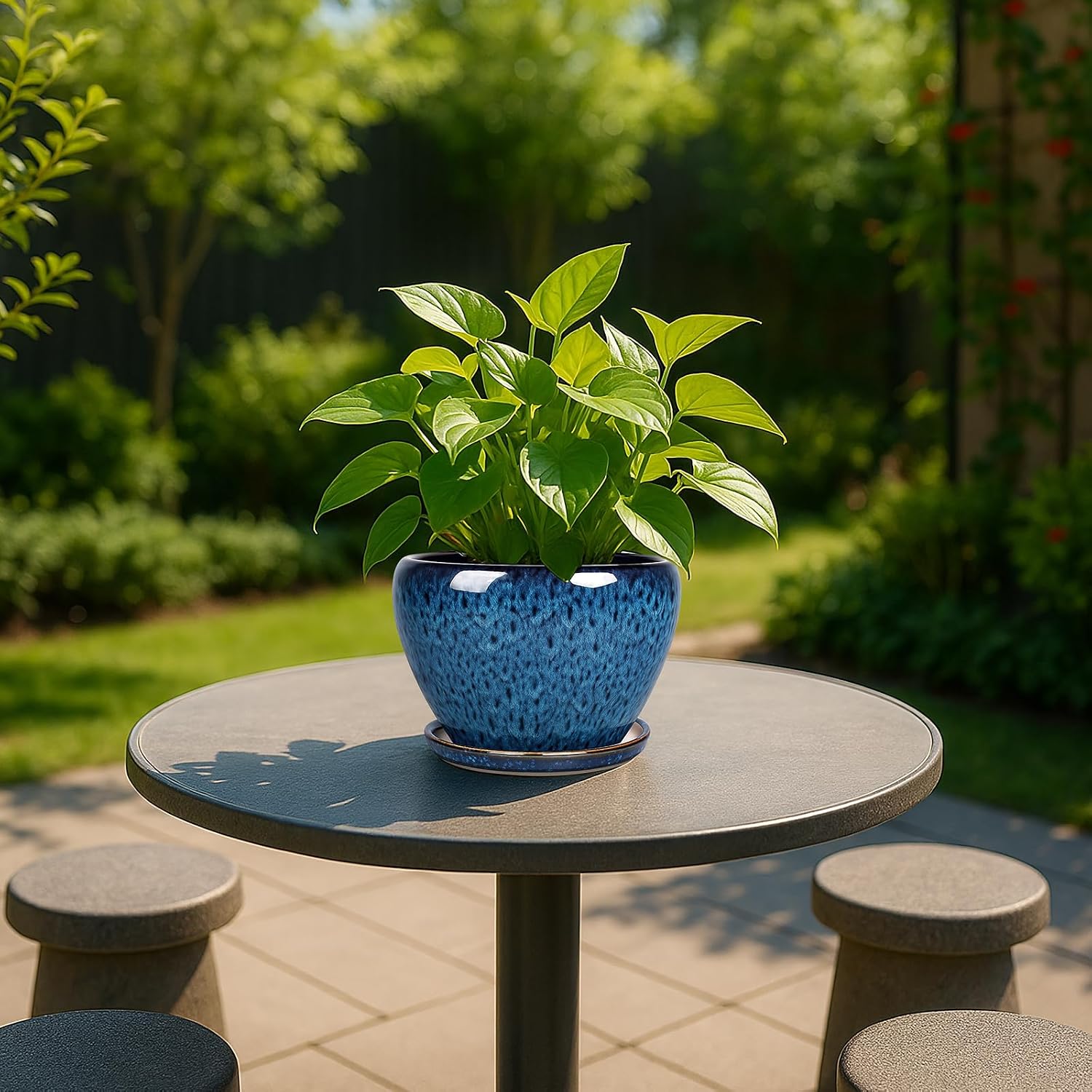 6 Inch Ceramic Plant Pot with  - مراجعة Snake Plant Ceramic وسعره