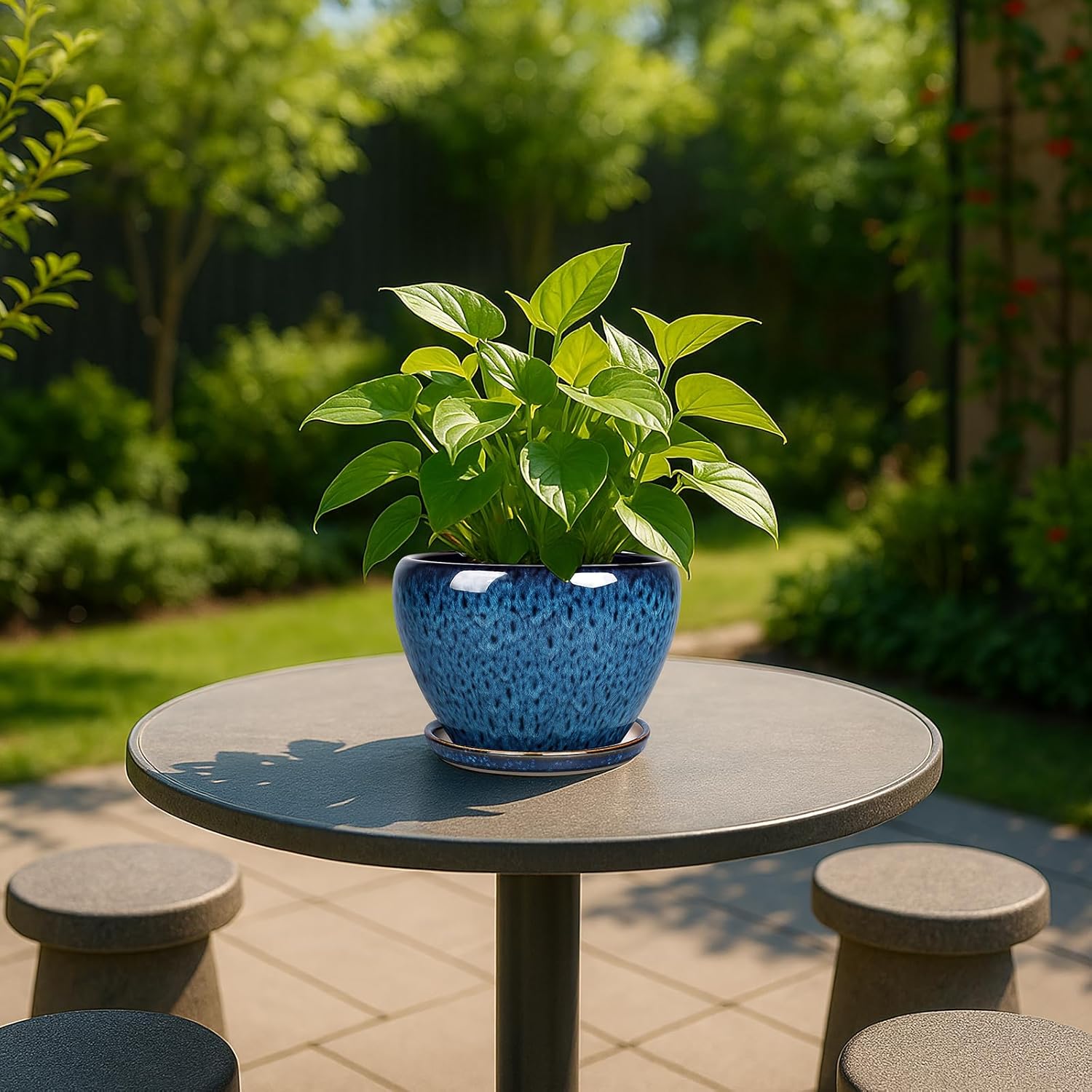 6 Inch Ceramic Plant Pot with  - مراجعة Snake Plant Ceramic وسعره